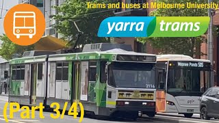 Trams and buses at Melbourne University Part 34 [upl. by Enihsnus695]