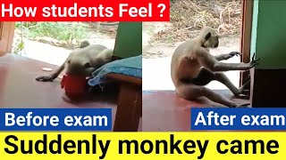 Students feelings during exam days🤣exam makautexam examination shorts [upl. by Berthold]