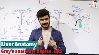 Liver Anatomy Anatomy 82 [upl. by Silva]