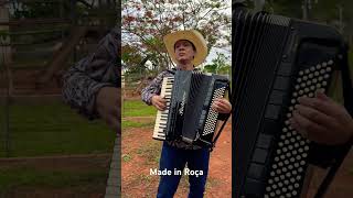 Solos De Vaneirao acordeon sanfona bailão nillorochasanfoneiro [upl. by Feldt343]