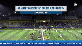 Auténticos Tigres recibe a Burros Blancos [upl. by Teak942]