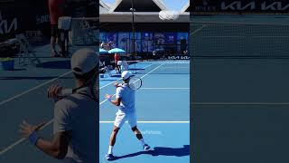 Forehand Compilation  Novak Djokovic Slow Motion Back View 2 Shorts [upl. by Nohsad849]