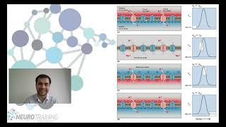 Potencial de acción explicado por neurólogo [upl. by Alleusnoc]