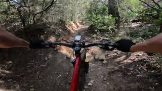 MTB Collserola  Exploring Collserola West  Hardtail [upl. by Nnyliram451]