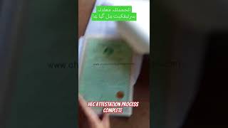 HEC attestation process complete shorts hec ibcc darsenizami [upl. by Helm107]