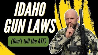 Important Idaho Gun Laws To Be Aware Of  North Idaho Gun Laws 2024 [upl. by Yemaj408]