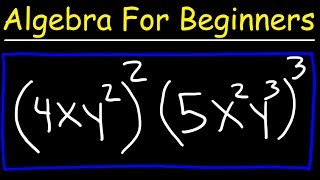 Algebra For Beginners  Basic Introduction [upl. by Rollin]