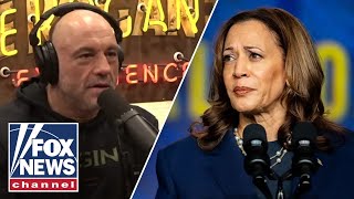 Joe Rogan reveals why Kamala Harris interview didnt happen [upl. by Bedwell]