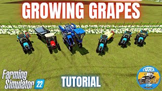 HOW TO GROW GRAPES  Farming Simulator 22 [upl. by Shawn]