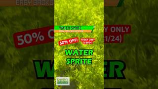 🚨50 OFF🚨Water Sprite TODAY ONLY 13124 [upl. by Lalla]