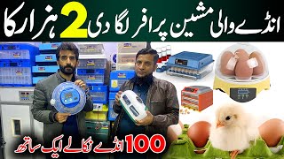 Best Incubator For Chicken Eggs  Now hatch a chicken egg at Home  Automatic 1000 Eggs incubator [upl. by Fotina]