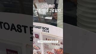 싱가포르 교환학생 24일차popular bookstore 토스트 박스 싱가포르 브이로그 vlog smu singapore [upl. by Brandea]