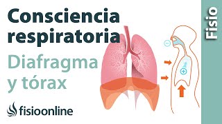 Consciencia de la respiración diafragmática y torácica [upl. by Acnayb151]