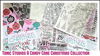 A Candy Cane Christmas  Tonic Studios Christmas Collection [upl. by Hcahsem592]