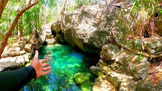 😍 Deberías Visitar El Cenote los Azules [upl. by Areemas178]