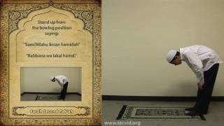 How to Pray  Asr Afternoon Pray  Fardh [upl. by Ahsatan]