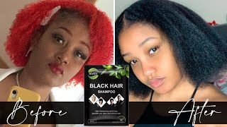 Dying Hair Black using Black Hair Shampoo [upl. by Tacita799]