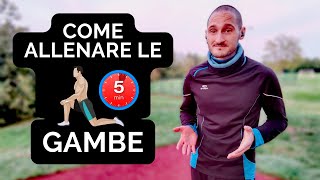 Allenamento GAMBE in 5 MINUTI  Workout 3015 a CORPO LIBERO [upl. by Wandie]