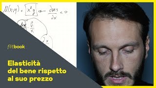 Elasticità della domanda al prezzo  Flitbook  Lezioni Microeconomia  Economia Politica [upl. by Cowan]