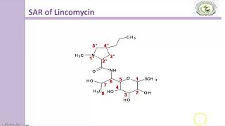 Lincomycin antibiotics [upl. by Yengac]