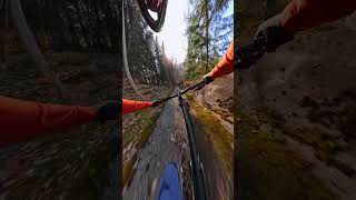 Biking an Abandoned Bobsled Track 🎬 Antoni Villoni Shorts MTB [upl. by Alegnaoj]