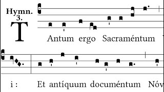 Tantum Ergo Sacramentum  Gregorian Chant [upl. by Freddi]