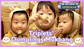 Triplets House Legendary dumplings mukbang of Triplets 🥟🥟🥟  KBS WORLD TV [upl. by Dich]