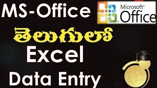 MS Office in Telugu  Data Entry in Excel [upl. by Davide113]