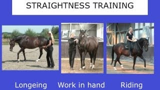 Straightness Training Webinar  Part II  Marijke de Jong [upl. by Collar406]