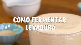 CÓMO FERMENTAR LEVADURA [upl. by Harmony]