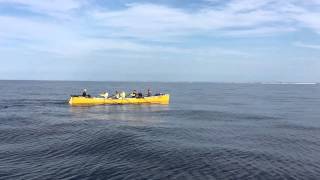 The rowers approach the French coast [upl. by Anom]