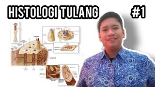 Histologi Tulang  Part I  Osteoblas Osteoklas Osteosit dan Sistem Haversian [upl. by Lashond875]