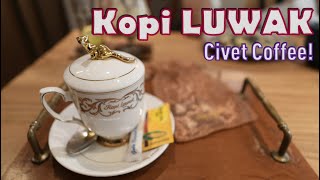 Kopi LUWAK Civet Coffee [upl. by Lavine14]