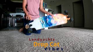 2021 Landyachtz Drop Cat Vibes Unboxing [upl. by Iaoh]