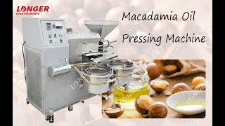 Macadamia Oil Pressing MachineNuts Oil Extraction Machine [upl. by Elicia]