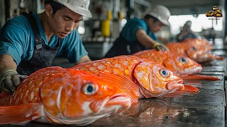 Million Fish Hatchery Farm  Automatic Salmon Egg Insemination System [upl. by Nydnarb]