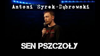 Antoni SyrekDąbrowski  Sen Pszczoły  Standup Polska [upl. by Ellebasi]