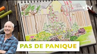 Pas de panique  un beau massif darbustes en fleur pour cacher la clôture  Silence ça pousse [upl. by Thgiwd]