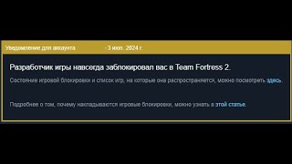 Valve Corporation Strikes Again TF2 Manual Ban Story vavlo pt2 [upl. by Ecurb26]