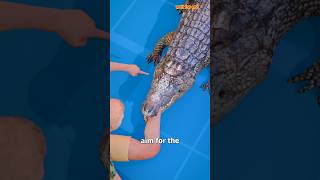 How To Escape An Alligator Death Roll 😨shorts [upl. by Mareah367]