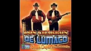 Entre Golpes Y Besos  Los Charros De Lumaco Como Dejar De Amarte [upl. by Aid421]