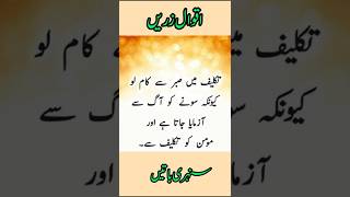 Aqwal e zareen short videoaqwalezareen shortfeed quotes [upl. by Longan293]