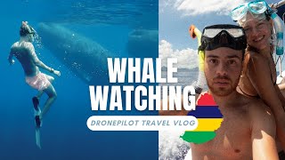 13 whale watching in Mauritius sperm whales [upl. by Emalia]