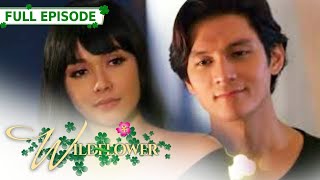 ENG SUB Ep 225  Wildflower  Maja Salvador Tirso Cruz III Aiko Melendez [upl. by Krys]