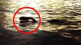 The Lake Monster That Almost Killed Me [upl. by Aneeb]