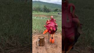 Survival Skills steam bad water in Dragon fruit camping outdoors bushcraft useful [upl. by Airotciv]