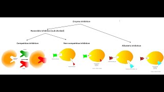 Enzyme Inhibitors BPharm Second Semester Biochemistry Malayalam Explanation [upl. by Ailyt762]