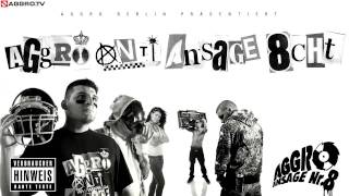 FLER  LEUTE REDEN  AGGRO ANTI ANSAGE ACHT  ALBUM  TRACK 07 [upl. by Acenes]