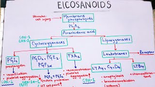 Eicosanoids pharmacology PROSTAGLANDINS made EASY and QUICK [upl. by Enneirda]