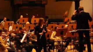 Karin Leitner plays Reinecke Flute Concerto 2nd mvt [upl. by Sakiv]